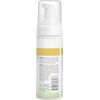 Burt's Bees Refreshing Foaming Cleanser and Natural Face Wash with Cucumber and Mint, 4.8 Fl Oz