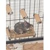 Degu step - 5 Pack