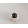 FOREST GREEN SHADE Prosthetic Eye Human Ocular Prosthesis  MADE IN USA