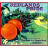 A SLICE IN TIME Redlands Pride Orange Citrus Fruit Crate Box Label Art Print