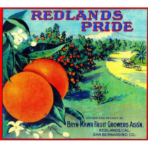 A SLICE IN TIME Redlands Pride Orange Citrus Fruit Crate Box Label Art Print