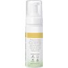Burt's Bees Refreshing Foaming Cleanser and Natural Face Wash with Cucumber and Mint, 4.8 Fl Oz