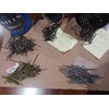 15# of New  Construction Nails