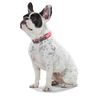 Hunter - Comfort Collar 22-30 cm Convenience pink