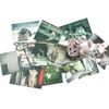 GraphLAB Aoneko Gurashi Postcards, Set of 12