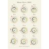 2025 Edition Moon Perspective Calendar A4 Size