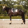 B Vertigo Amory Ear Net - Weathered Teak - Horse