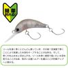 DAIWA Trout Caterpillar, Brown Glow