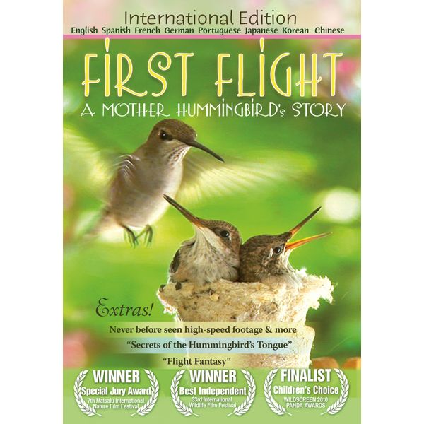First Flight: A Mother Hummingbird's Story