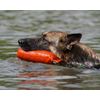 Romneys Standard Dummy 500 g Dog Fetch - Extremely Robust and Floating (Green)