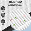 Nispira True HEPA Replacement Filter For LEVOIT EverestAir Air Purifier, 2 Pack