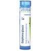 Boiron Galphimia Glauca 6C Homeopathic Medicine for Hay Fever - 80 Pellets