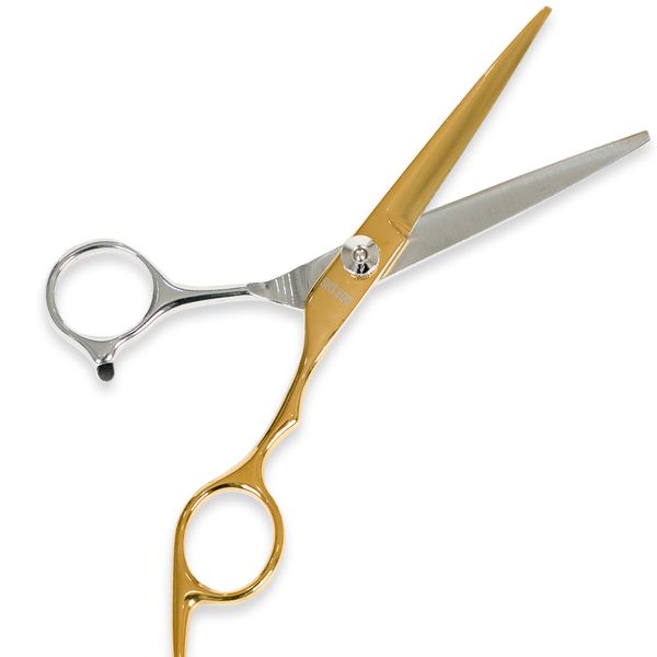 Doolims Premium Hairdressing Scissors Gold Silver