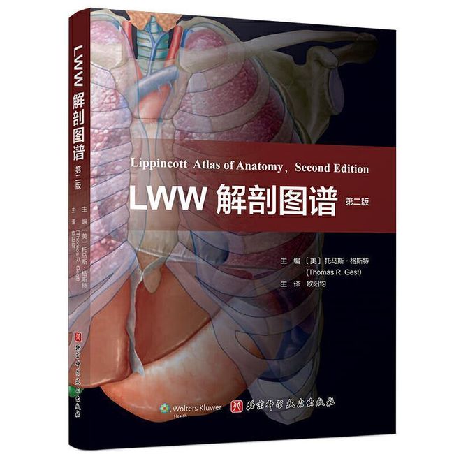 全新正版图书 LWW解剖图谱 第2版托马斯·格斯特北京科学技术出版社有限公司9787571412081蔚蓝书店