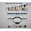Multi Dog Training System Rechargeable and Waterproof Collar and Remote Black