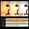 Ascher LED Edison Bulbs 6W, Equivalent 60W, High Brightness Daylight White 4000K, 700 Lumens, ST58 Vintage LED Filament Bulbs with 80+ CRI, E26 Base, Non-Dimmable, Clear Glass, 4 Packs