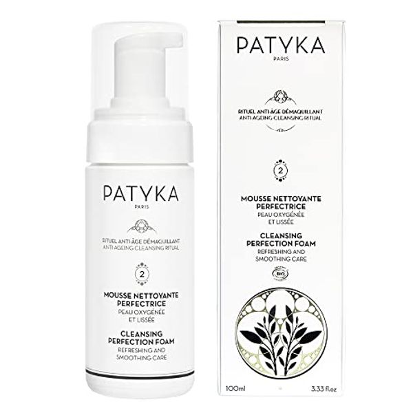 Natural Cleansing Perfection Foam (3.3 oz | 100 ml)
