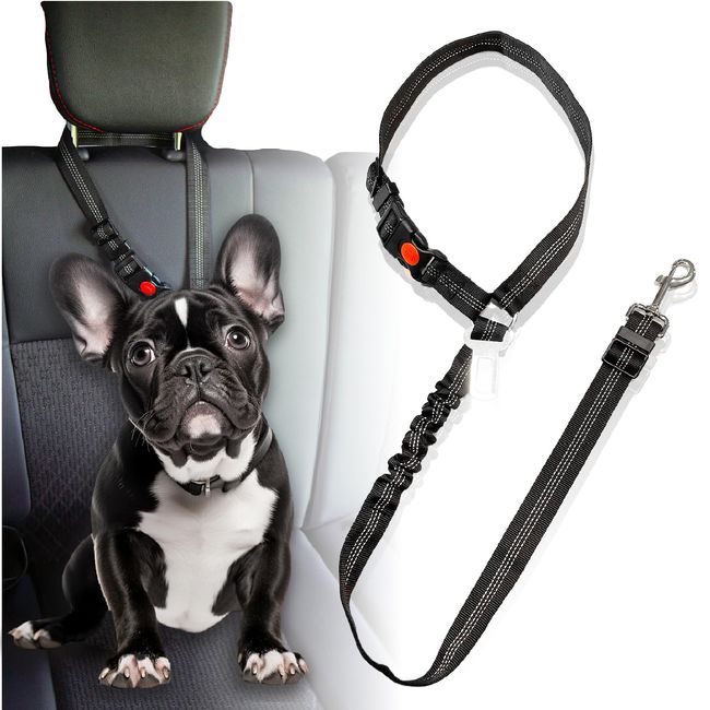 DOMZ Pet Dog Seat Belt (Supervised by Pet Supply Experts) Dog Car Seat Leash Length Adjustable Elastic ps-bk