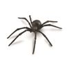 CollectA, Black Widow Spider, Collectable Animal Figurine