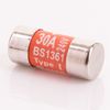 5X Replacement 30 Amp Consumer Unit Fuses | 240V