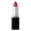 Color Intense Lipstick - 256 Fuschia c
