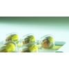 energy boost - TONALIN 1000MG 1B - TONALIN bulk supplements