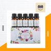 Paket Set Essential Oil / Aromatherapy Oil Difuser Diffuser 10ml 5PCS