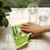 Eocto ecomfortHouse Sponge Wipe, Moomin Forest, 1 Piece