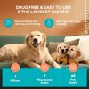 Dog Calming Pheromones Diffuser Separation Anxiety Travel Fireworks Dogs Scratch