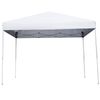10x10 FT Pop-Up Foldable Waterproof Canopy Tent Adjustable Heights Portable Bag