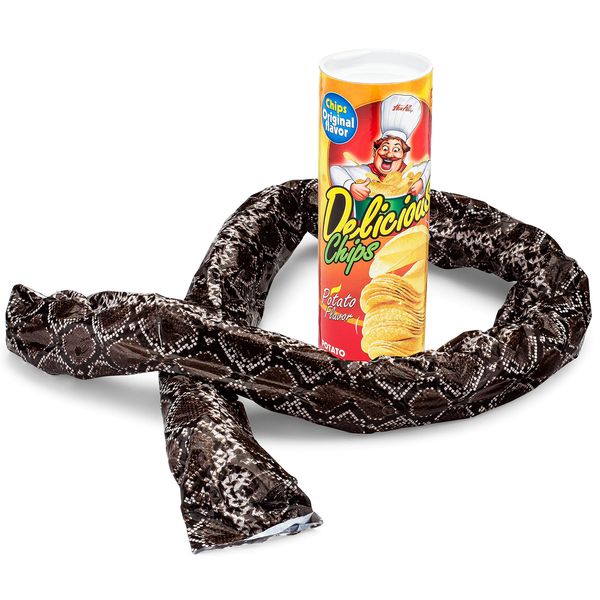 The FunFamz Original Snake in a Potato Chip Can Prank-Funny Classic Snake in a Can Prank for Kids, Snake in a Can Trick Gag Gift Toy & Scary Shock Snake Trick, Spring Snakes Prank, Red Potato Chip Can