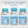 Cranberry D Mannose Bladder Health Supplement 60 Count Vegan Capsules