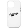 Case for iPhone 14 Pro Max Ordinary