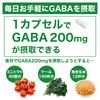 サプリクラフト GABA ギャバ サプリ 200mg 30日分(30カプセル)
