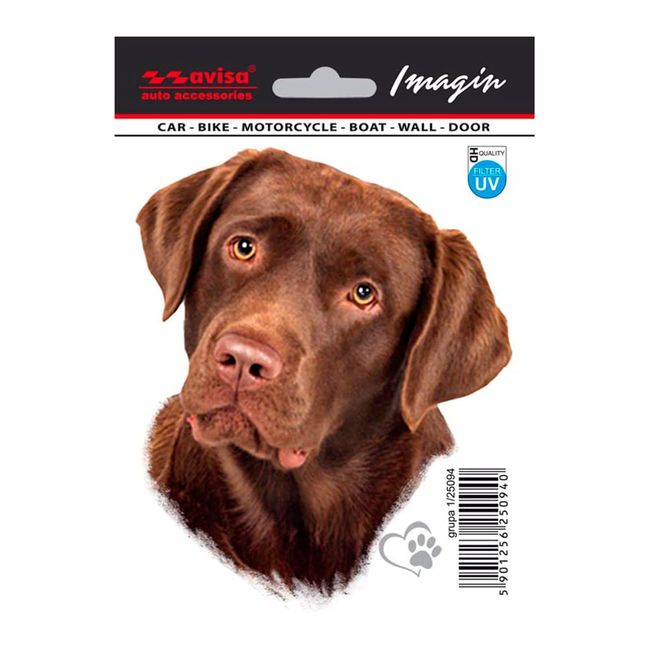 Avisa Auto Tattoo Sticker Labrador - 11x13,2cm