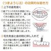 Sealab 2 x 6 (Toothbrush) / 20 Pieces