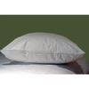Bed Bug, Allergy Proof King Zip Pillow Protector
