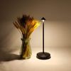 Rechargeable Cordless Table Lamp,3000Mah Battery Operated Table Lamp,Portable LE