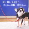 skipdog. putiinri-do (doggusyo-ri-do) , red