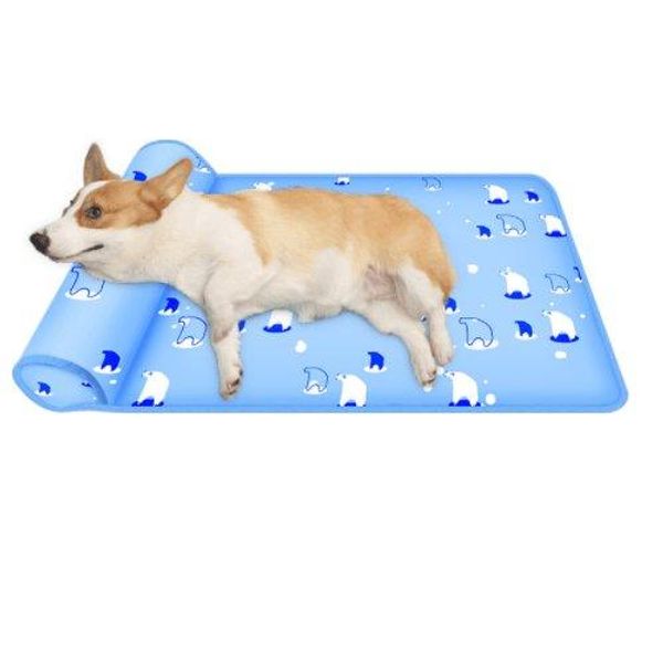 Cool Breeze Pet Comfort Mat: Breathable Cooling Pad With Pillow For Dogs And Cats - Sky Blue / 40X60Cm