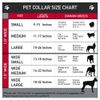 Buckle-Down 11-17" Colorado Flags2 Pride Dog Collar Bone, Medium