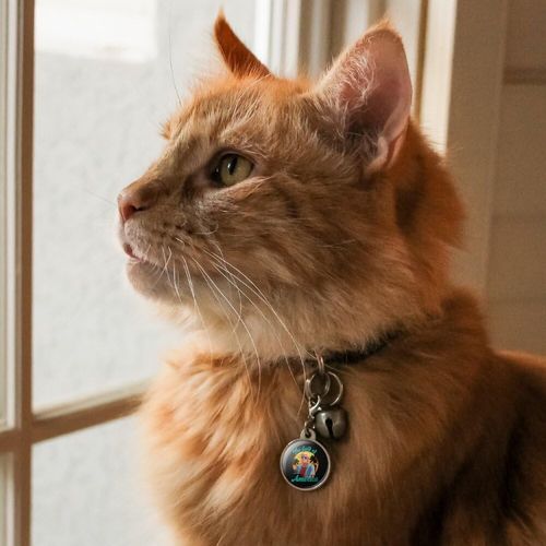 Graphics & More Gulf of America Trump Chrome Plated Metal Pet Dog Cat ID Tag - Small