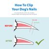 Dog Nail Clipper - Pet Cat Toe Claw Trimmer for Small Medium Large Breed (Blue)