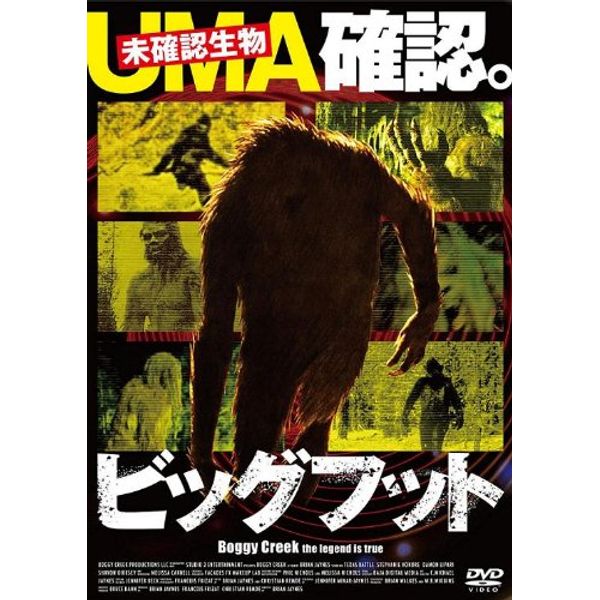 ビッグフット UMA確認。 [DVD]