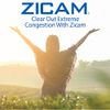 Zicam Extreme Congestion Relief No-Drip Liquid Nasal Spray with Soothing Aloe Vera, 0.5 Ounce