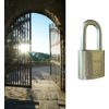 Lince 55030 Padlock, 30 mm