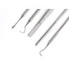 Professional Dental Hygiene Kit, Calculus Plaque Remover Set, Stainless Steel Tools, Tarter Scraper, Tooth Pick, Dental Scaler and Mouth Mirror Instruments. Hygienist Kit, Home Use Tools for Adults