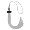 Endea Graduation Single Color Tassel with Black Date Drop (Silver, 2025)
