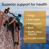 Vitamin B Complex Supplement 8 Super B Vits 120 Capsules with Choline & Inositol