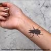 4 x 'Stag Beetle' Temporary Tattoos (TO00046329)